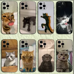 Pet Cat Funny memes Phone Case For iPhone 16,15,14,13,12,11,Pro,X,XS,Max,XR,Plus,Mini Soft Black Cover