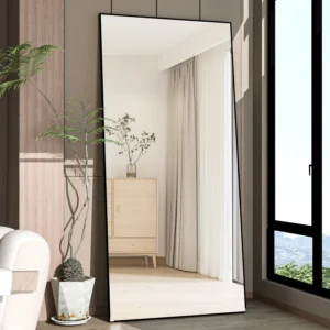 CASSILANDO Full Length Mirror 65" * 24 ", Floor Standing Mirror, Black Metal Frame Mirror， Full Body Mirror