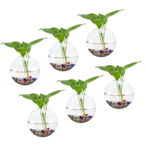 Wall Hanging Glass Terrarium Planters 5x5inch, Oblate Wall-Mounted Plant Propagation Station Container Vases for Hydroponic
