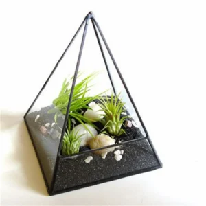 Pyramid Geometric Glass Terrarium Succulent Plants Container Planter Bonsai Flower PotGardening Decoration